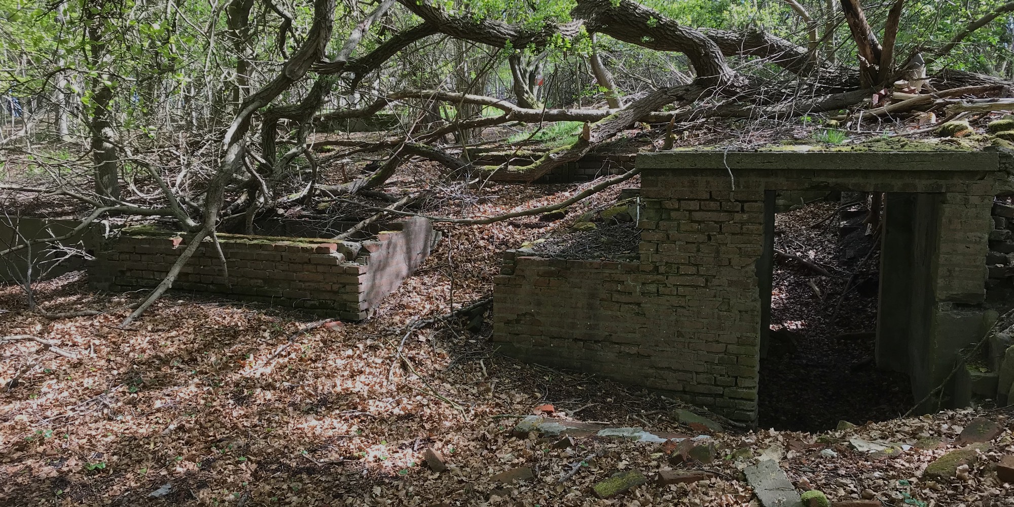 Ørnedalsvilla ruin