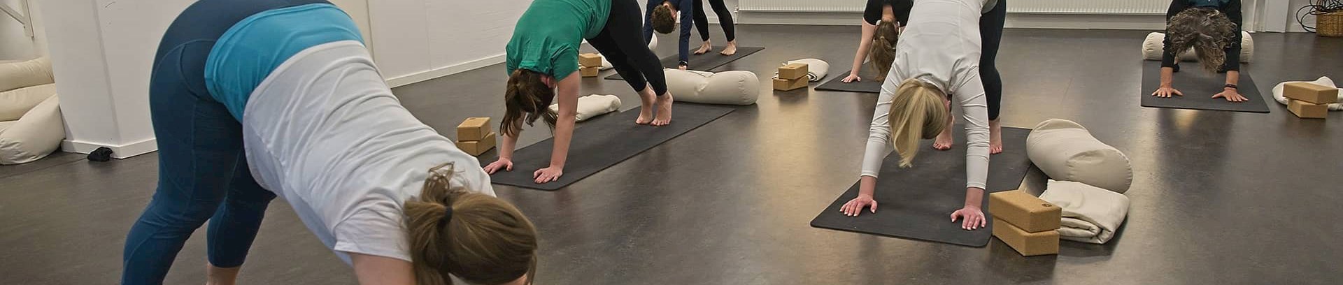 Hatha Yoga i FOF Aarhus
