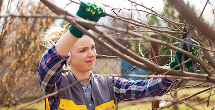 Kvinde der beskærer træer og buske på havekursus i FOF Aarhus