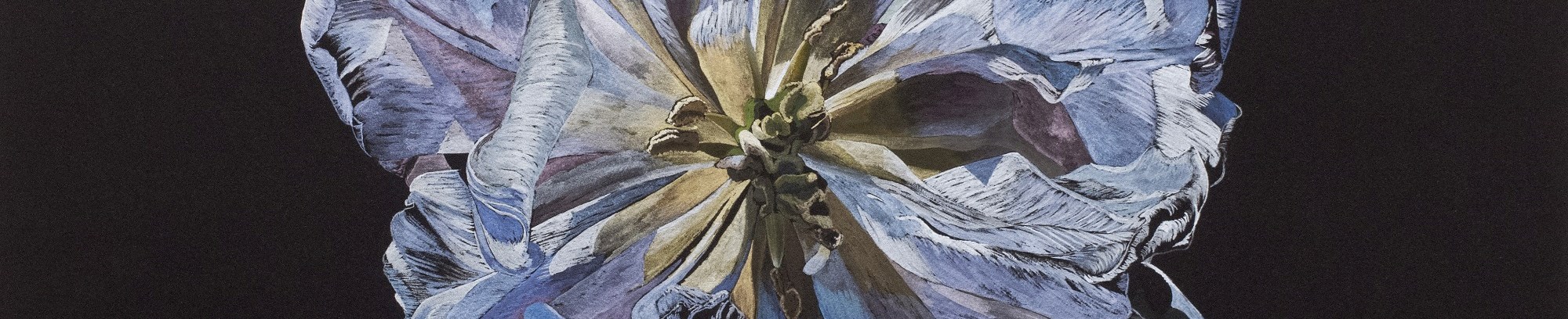 tulipan - blomsten i kunsten - fra underviser Anne Skole Overgaard
