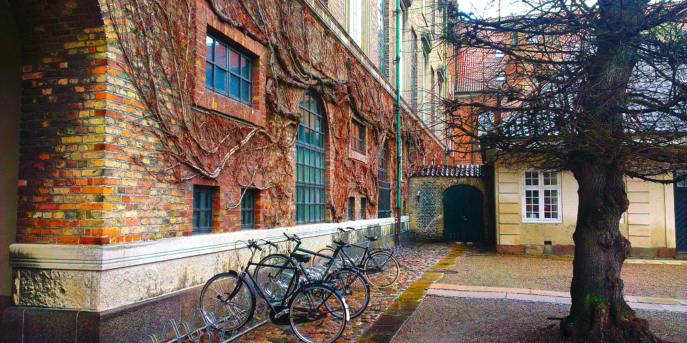 Byens smukke baggårde | FOF Københavns Omegn