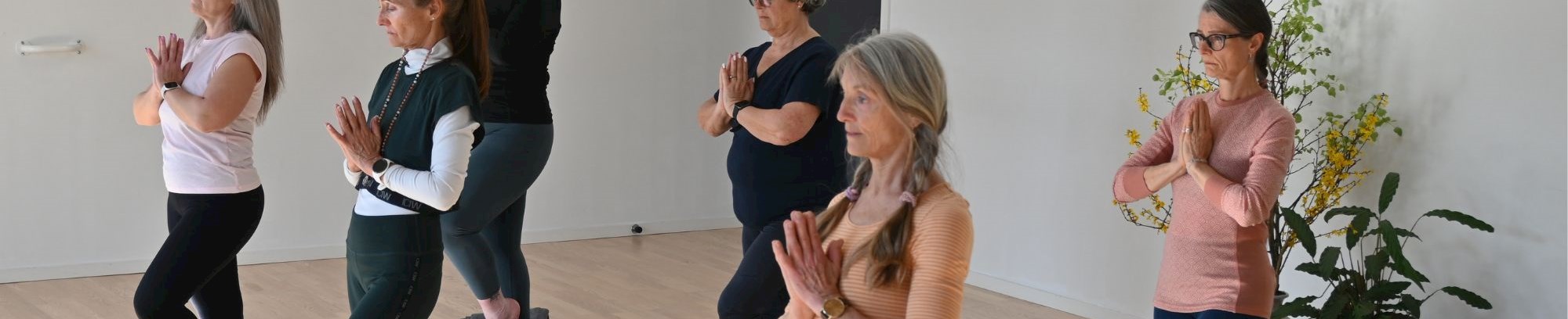 Kvinder laver yoga