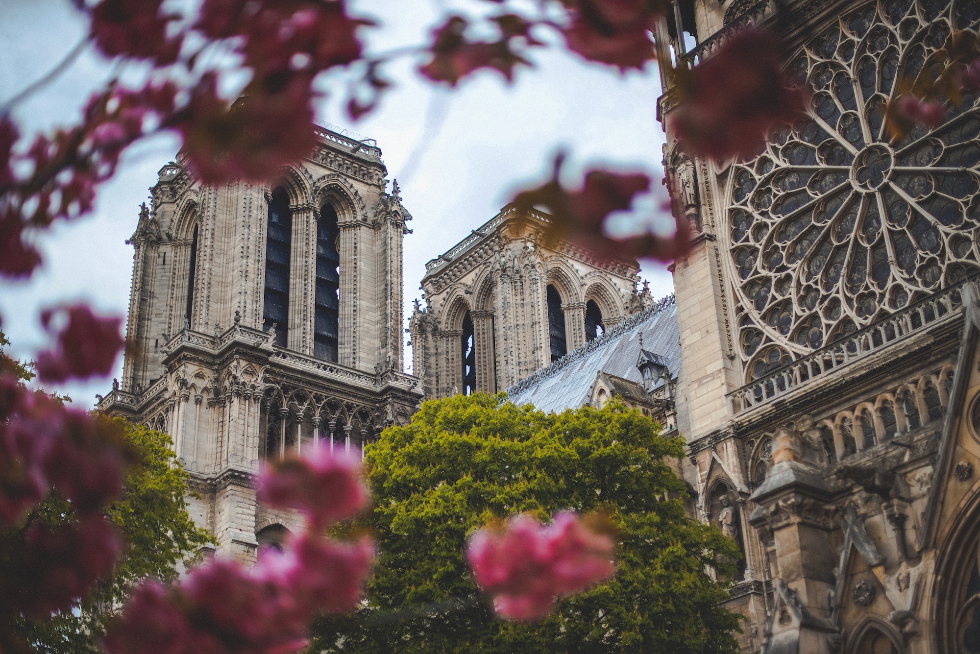 Notre Dame, Franskundervisning hos FOF Køge Bugt