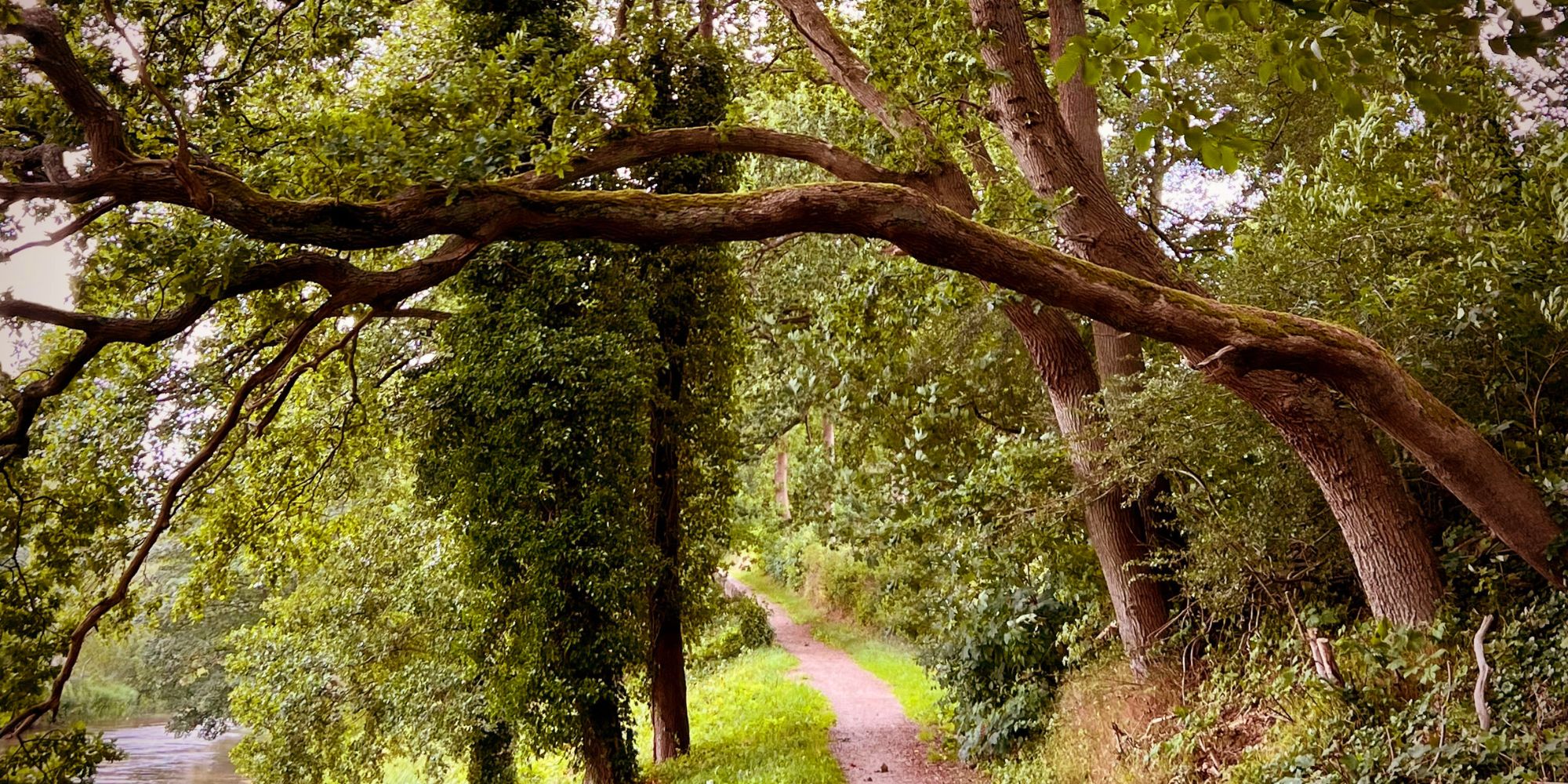 Tag en pause i naturen og styrk din mentale sundhed hos FOF Nordvestjylland, Holstebro