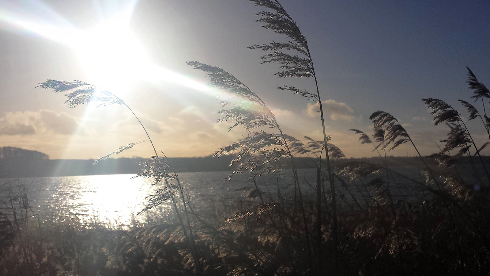 Hvad vil du gå til hos FOF Djursland?