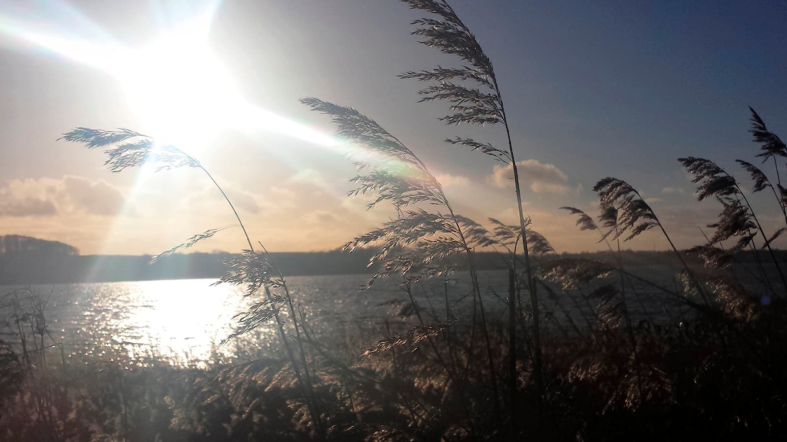 Hvad vil du gå til hos FOF Djursland?