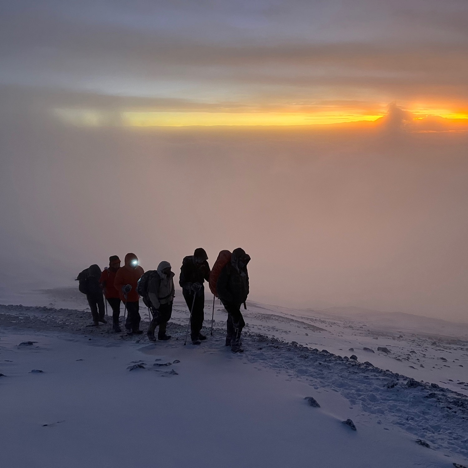 Kilimanjaro