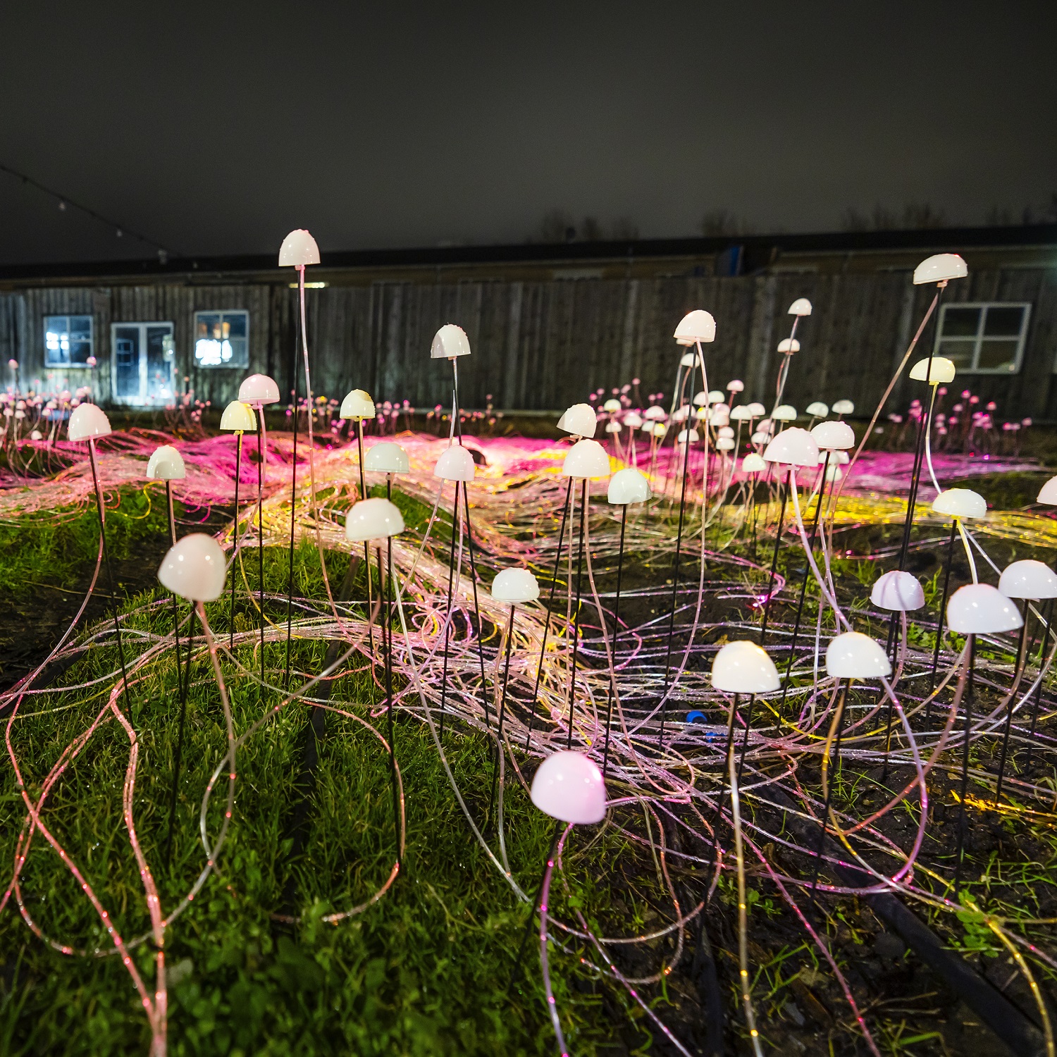 CopenhagenLightFestival50